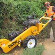 Narrow Access Stump Grinding