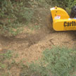 Narrow Access Stump Grinding